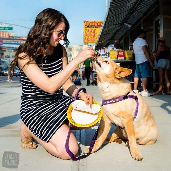 dog eating nathan's hot dog on sidewalk