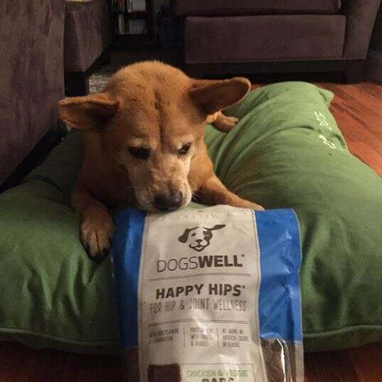 dog with bag of treats