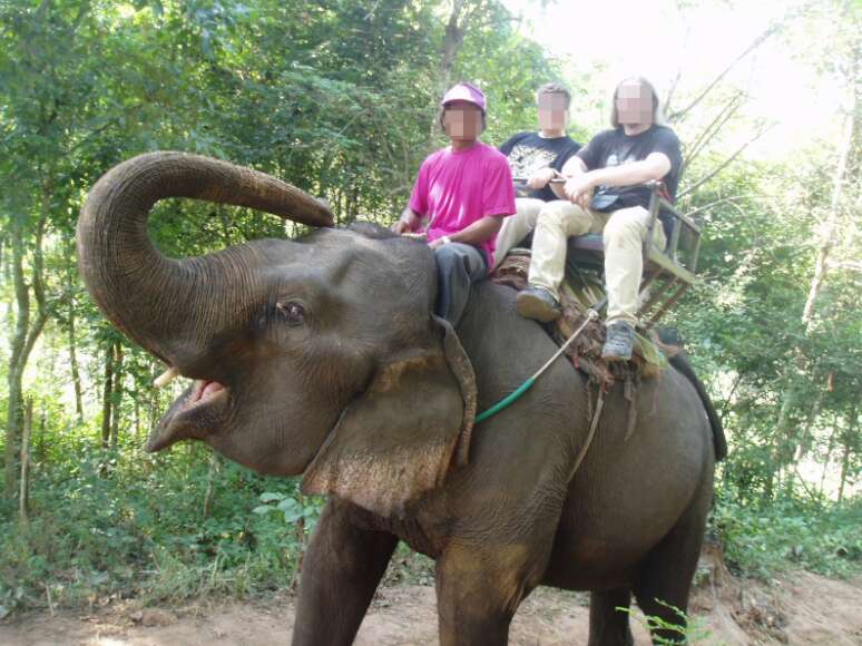 elephant ride tourist industry