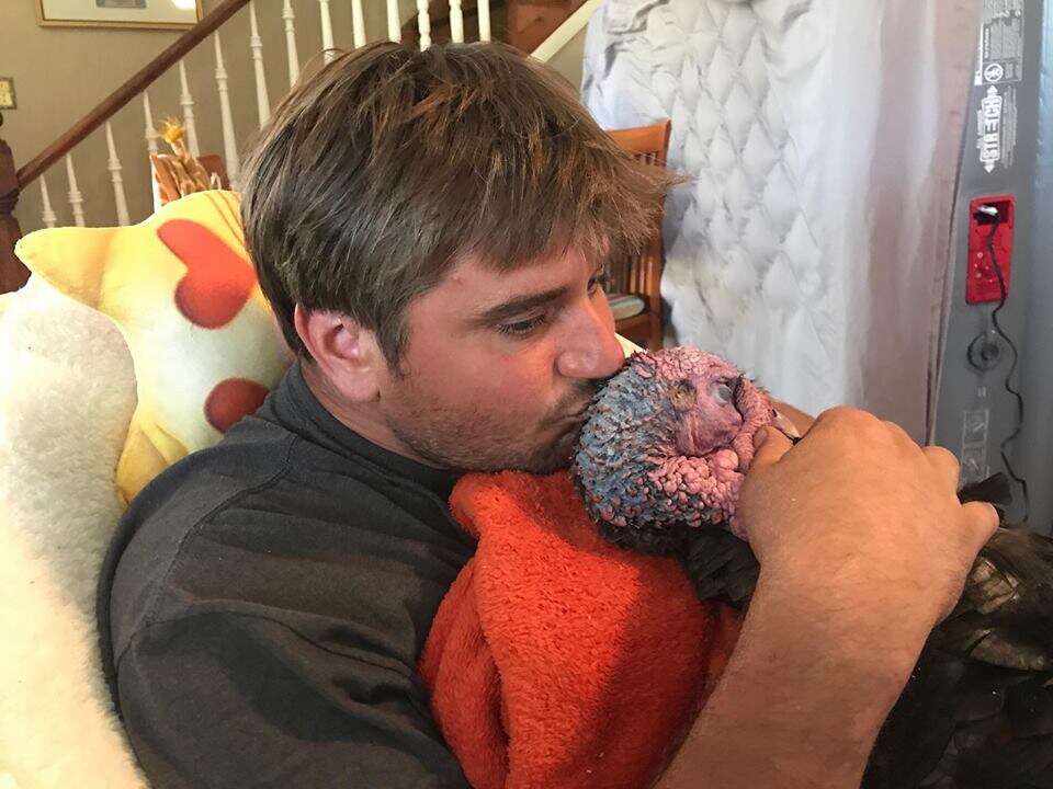 Man holding rescued turkey