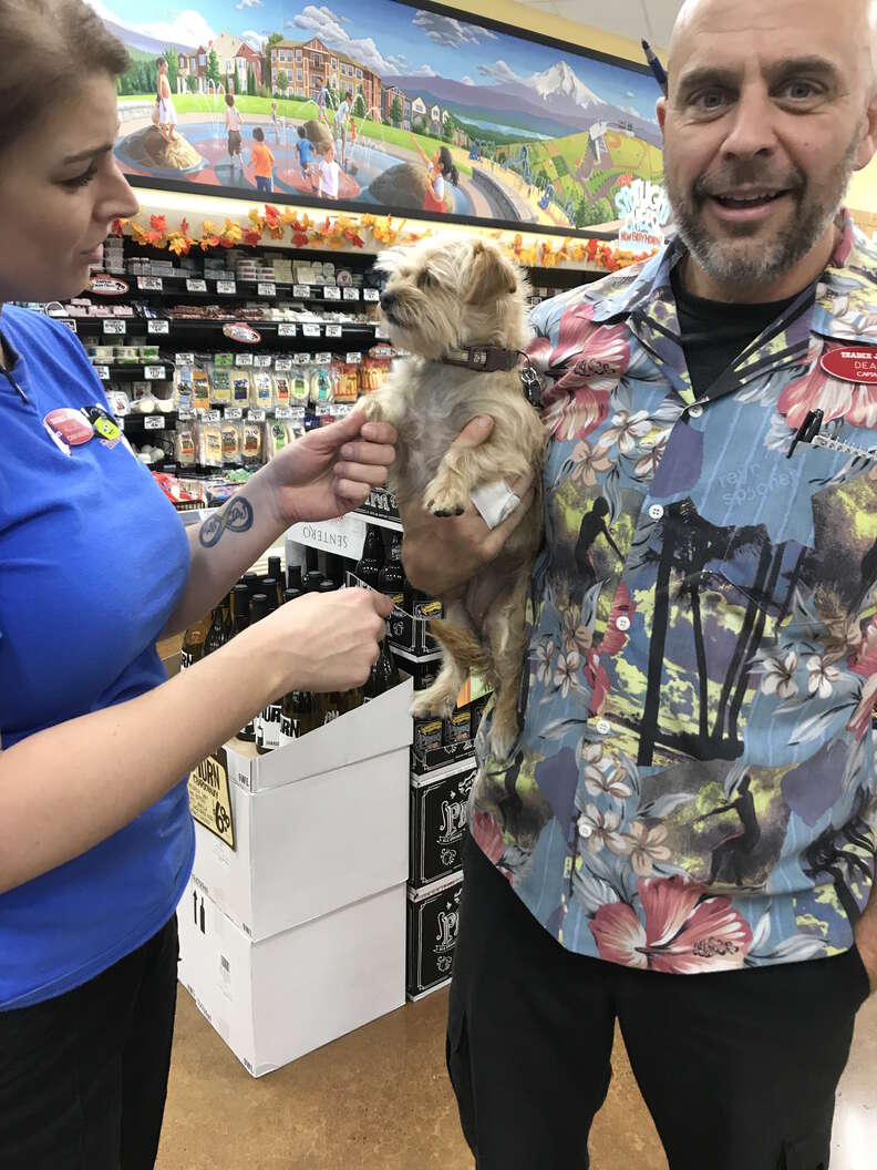 Trader Joe s Employees Find Lost Dog The Dodo