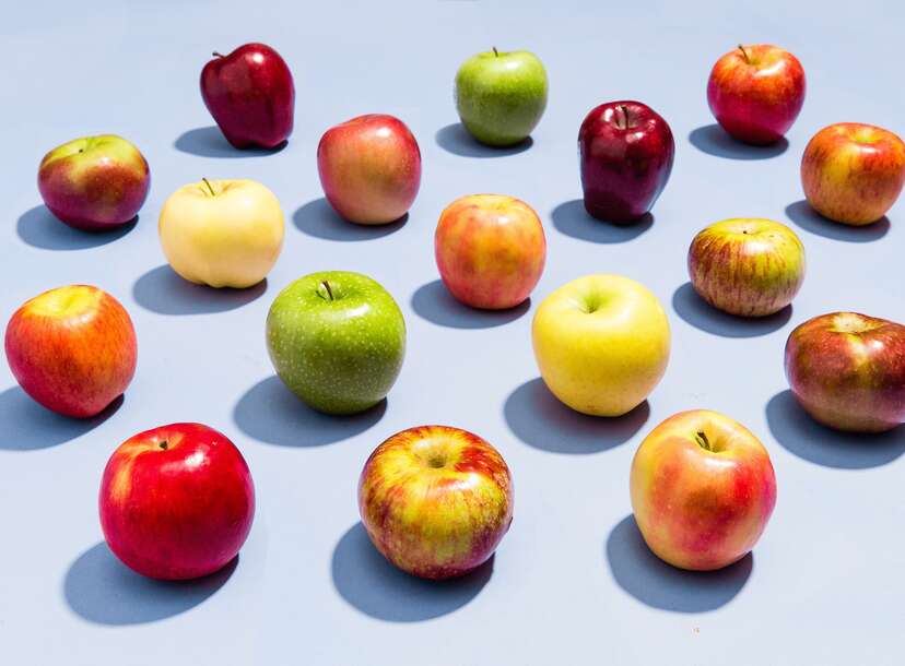 Different Varieties of Apples