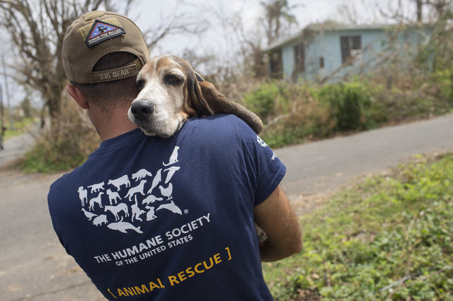 Man holding rescued dog