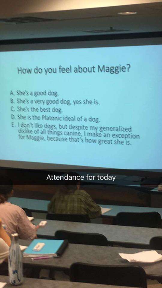 professor gives quiz about his dog