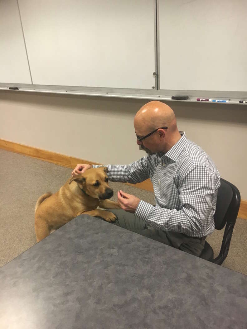 professor gives quiz about his dog