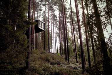 treehotel