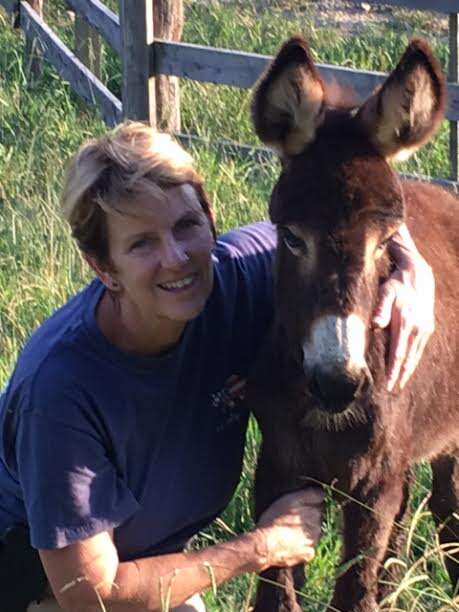 Woman with baby donkey
