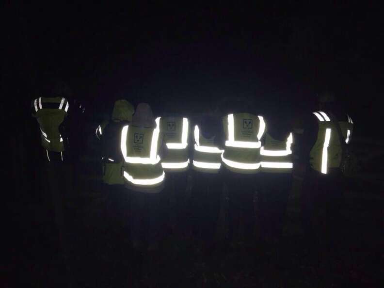 Wounded badger patrol in Cheshire
