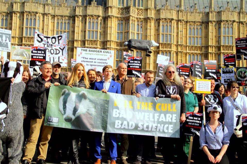 People protesting badger cull in the UK