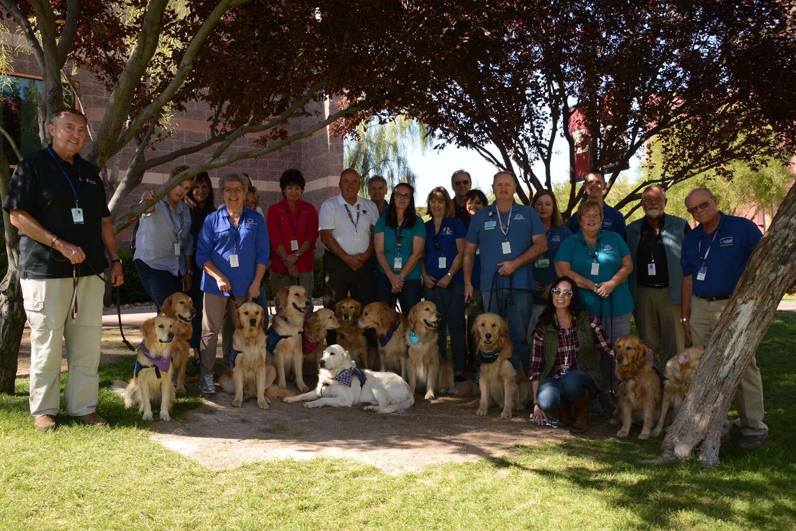 Therapy Dogs Travel To Las Vegas To Comfort Survivors Of Massacre - The