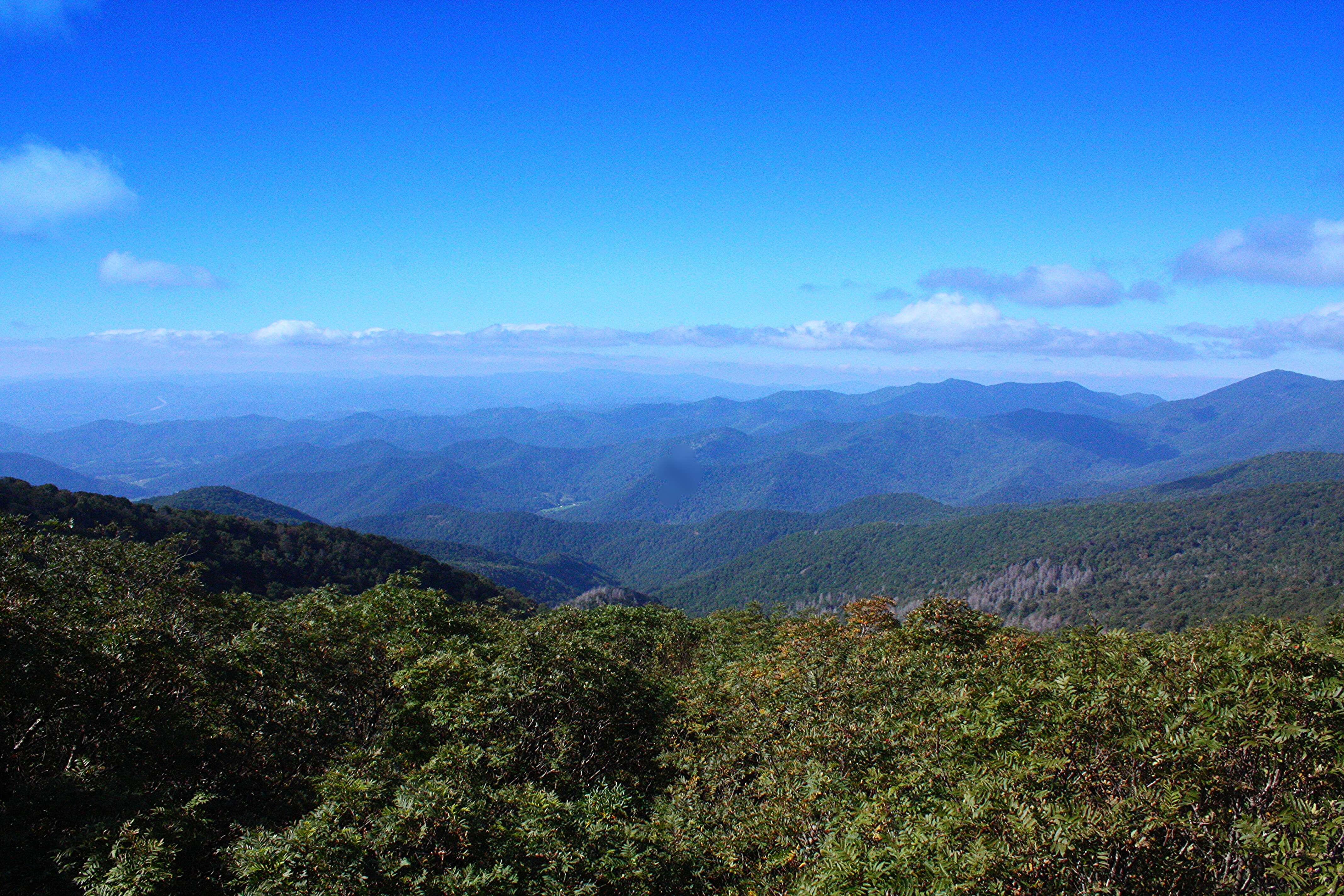 brown mountain lights