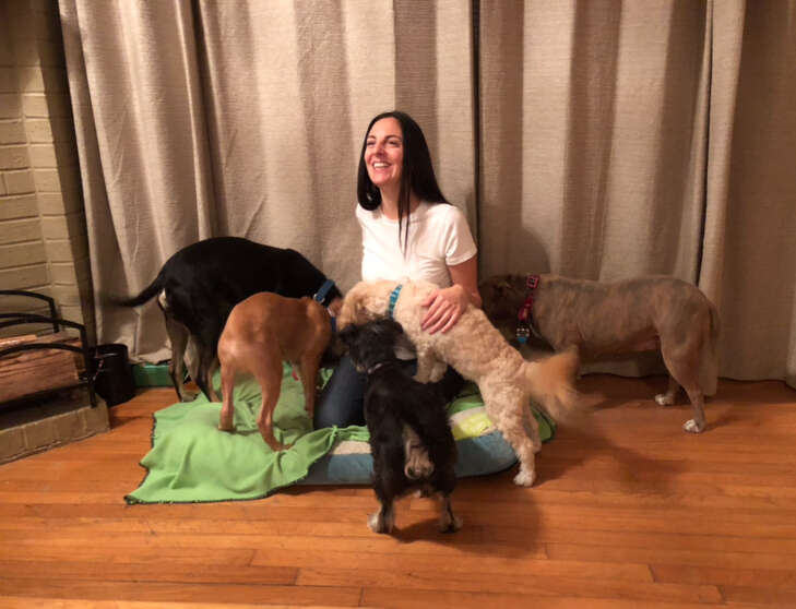woman with rescue and foster dogs