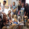 Comfort Dogs Are Helping People In Las Vegas Heal 