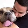Guy Adopts Pit Bull Who Changes His Life