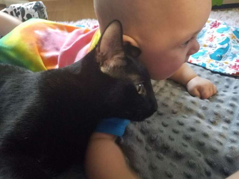 cat and baby growing up together