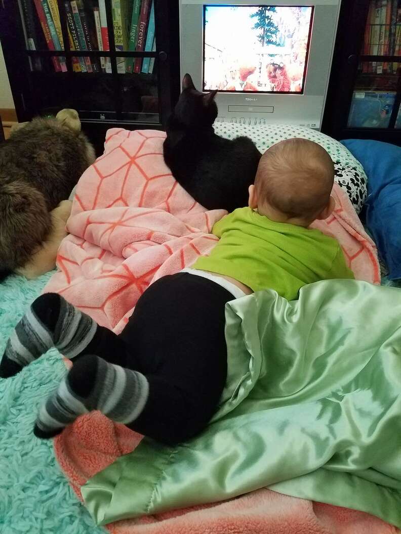 cat and baby growing up together