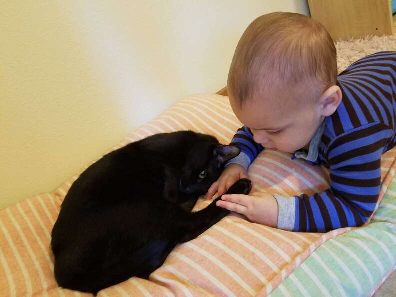 cat and baby growing up together