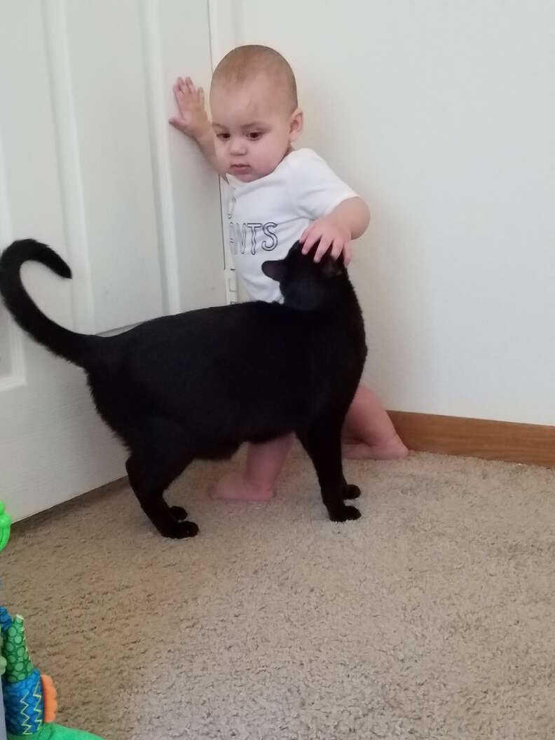 baby and cat growing up together