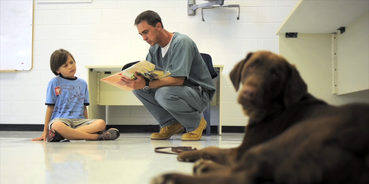 Boy With Autism Has A Service Dog BFF - Videos - The Dodo