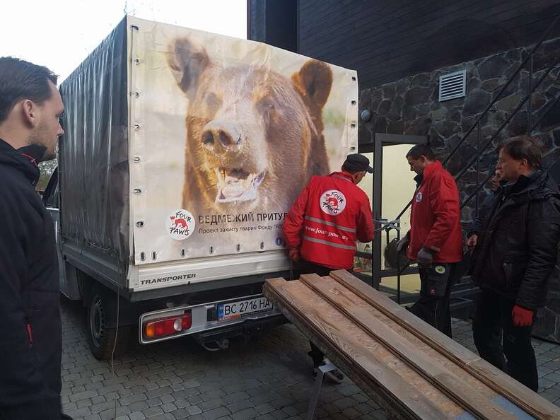 Captive bear loaded into rescuers' truck