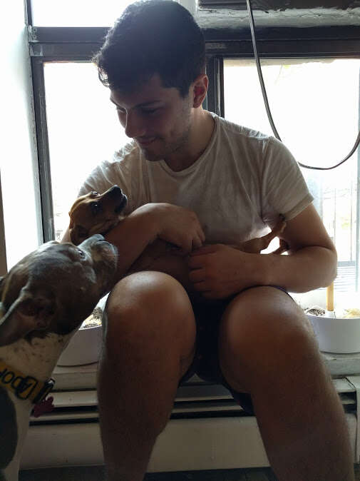 Man with two rescue dogs