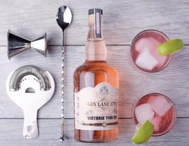 Best Pink Gins to Buy Now Thrillist