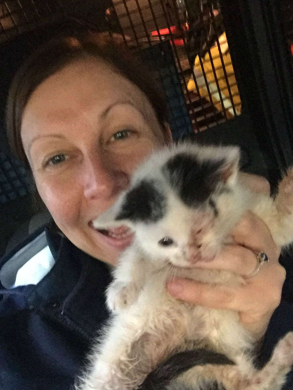 kitten trapped in abandoned house