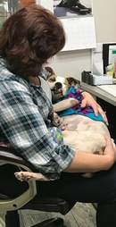 Woman holding dog at desk