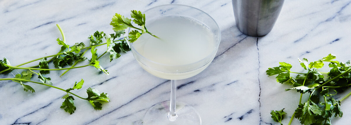 Easy and Delicious Coconut Gin Sour - Thrillist