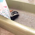 Skunk Gets Rescued From Bathtub
