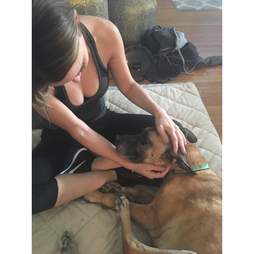 Woman petting rescue dog