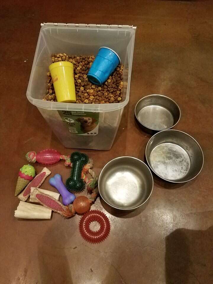 Box with dog food, bowls and toys