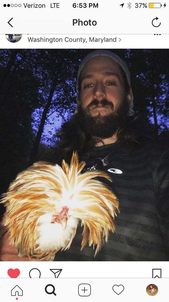 Rooster on Appalachian Trail