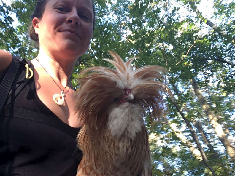 Rooster rescue on Applachian Trail