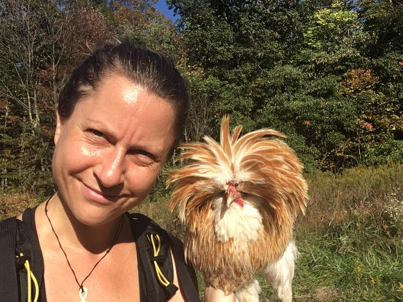 Appalachian Trail hiker saves rooster