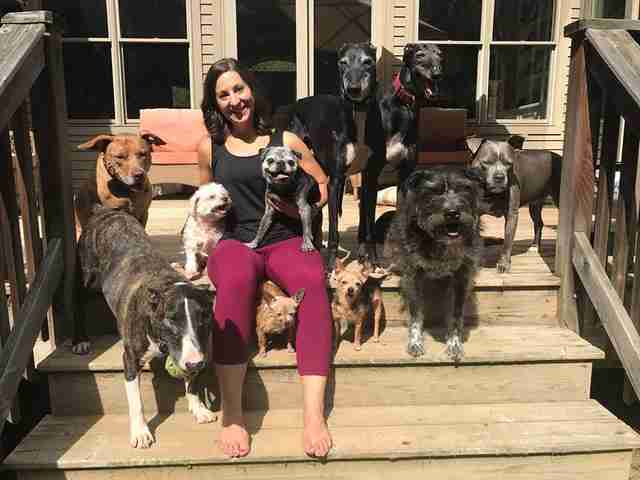 woman with a bunch of dogs