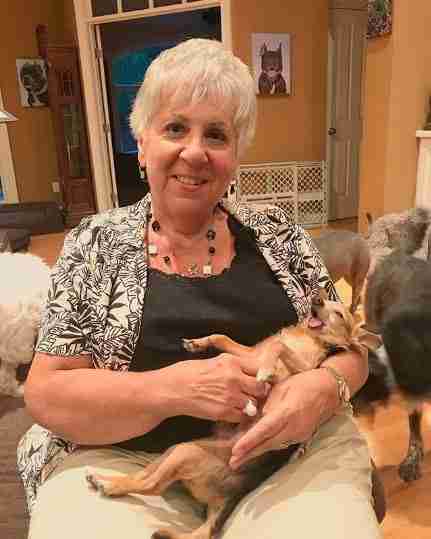 dog sitting on elderly woman's lap