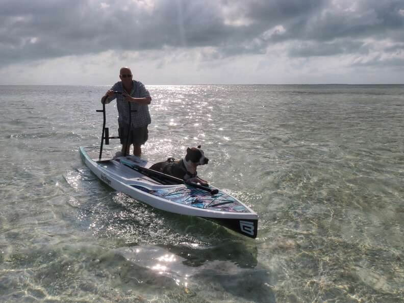 Man and dog on boat together