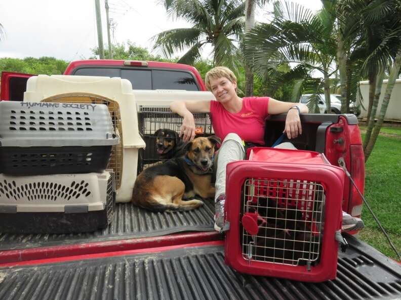 Woman sitting with crated dogs