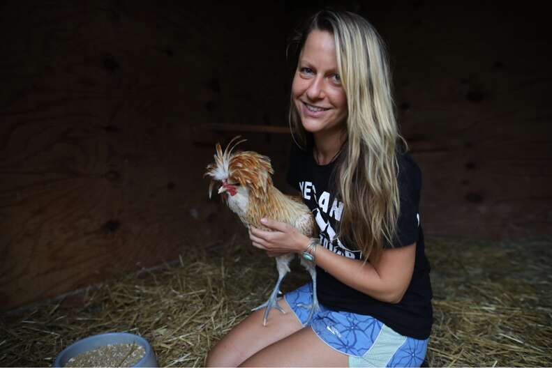 Rooster with rescuer