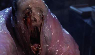 The Blob