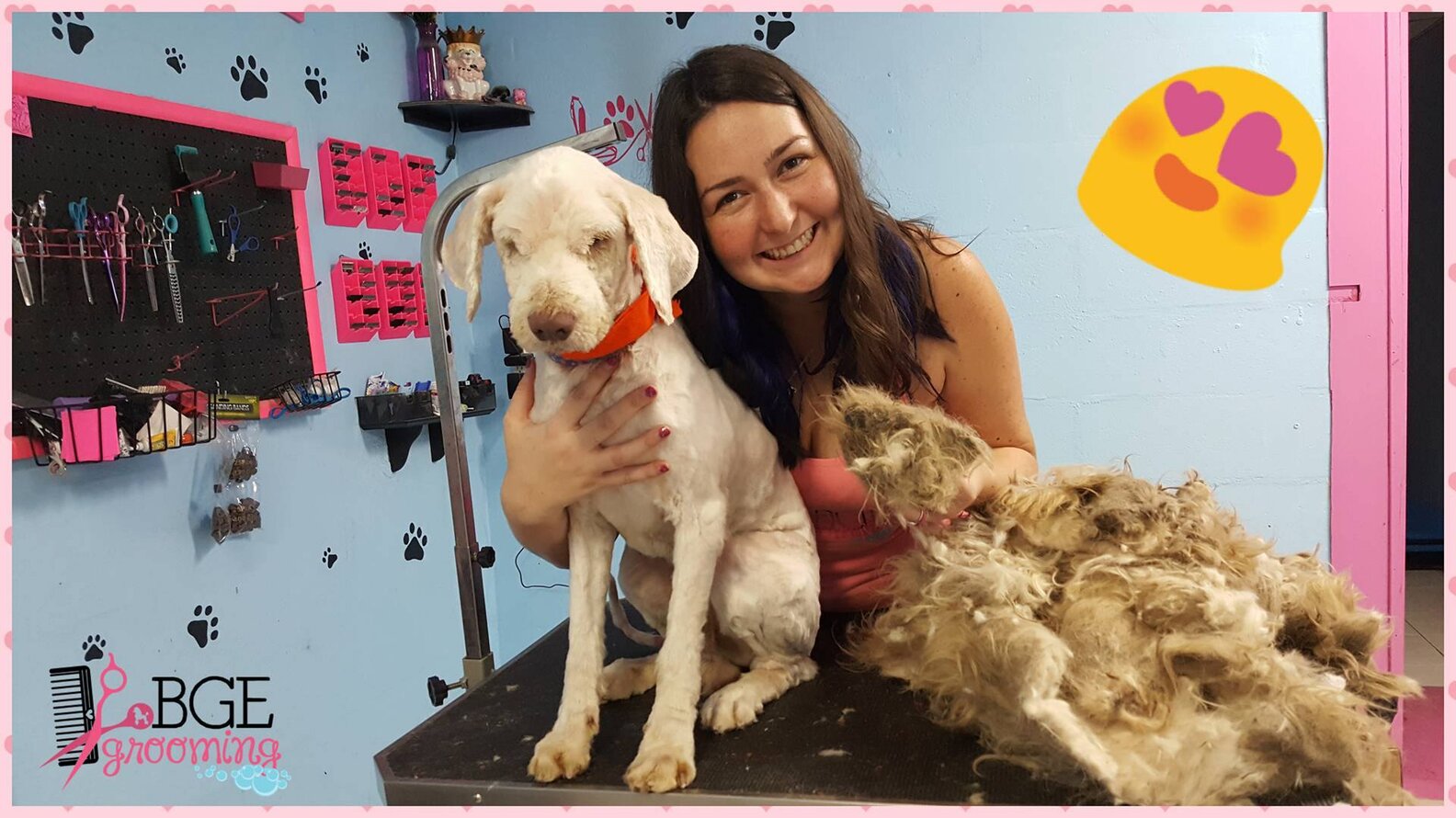 Groomer Opens In Middle Of Night To Give Dog An Emergency Makeover ...