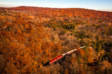 a bird's eye view of a train chugging through autumn hills