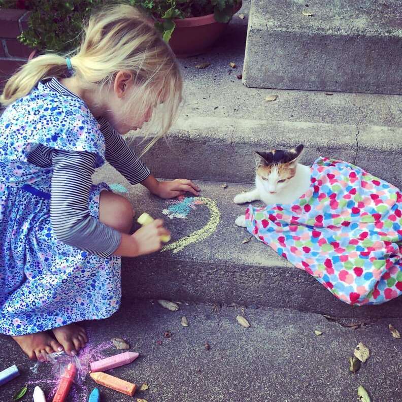 Little girl playing with cat
