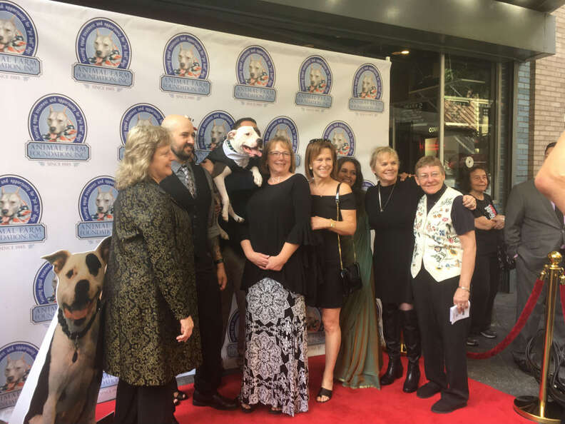 dog and cast on red carpet