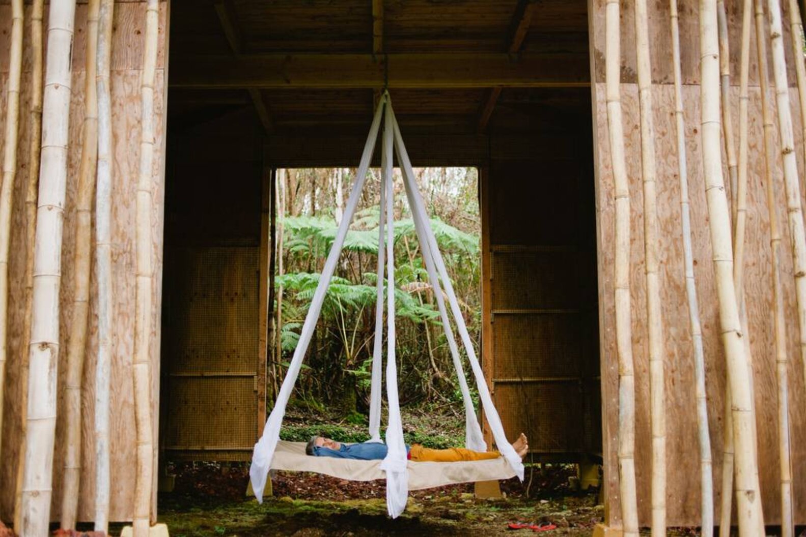 Airbnb Hawaii Bamboo Treehouse Is Most Popular Listing Thrillist