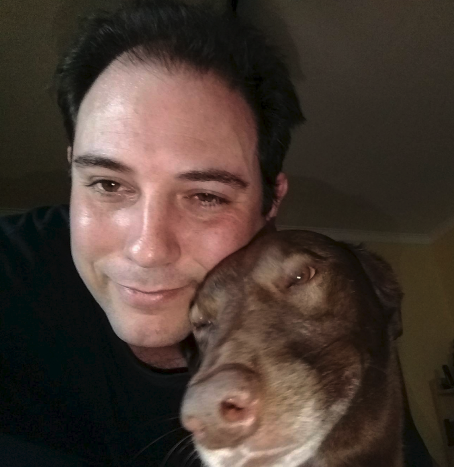 Старик и собака. Собаки нашли своих хозяев. Собаки которые живут на улице. Домашние животные и человек. Чемпион грузии собака по кличке джордж.