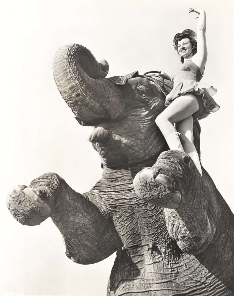 Circus elephant and performer