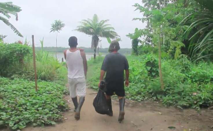 Illegal loggers carrying wild sloth out of forest in a bag