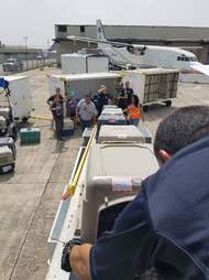 Puerto Rico dogs and cats traveling to Georgia to find homes after Hurricane Maria
